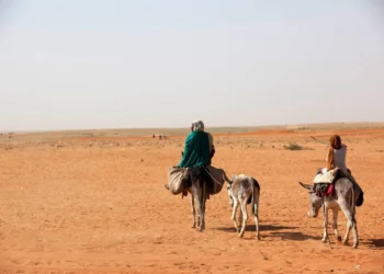 الأمم المتحدة تتحقق من تقارير حول تعرض مجتمع المساليت في دارفور لأعمال عنف واسعة