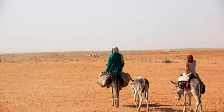 الأمم المتحدة تتحقق من تقارير حول تعرض مجتمع المساليت في دارفور لأعمال عنف واسعة