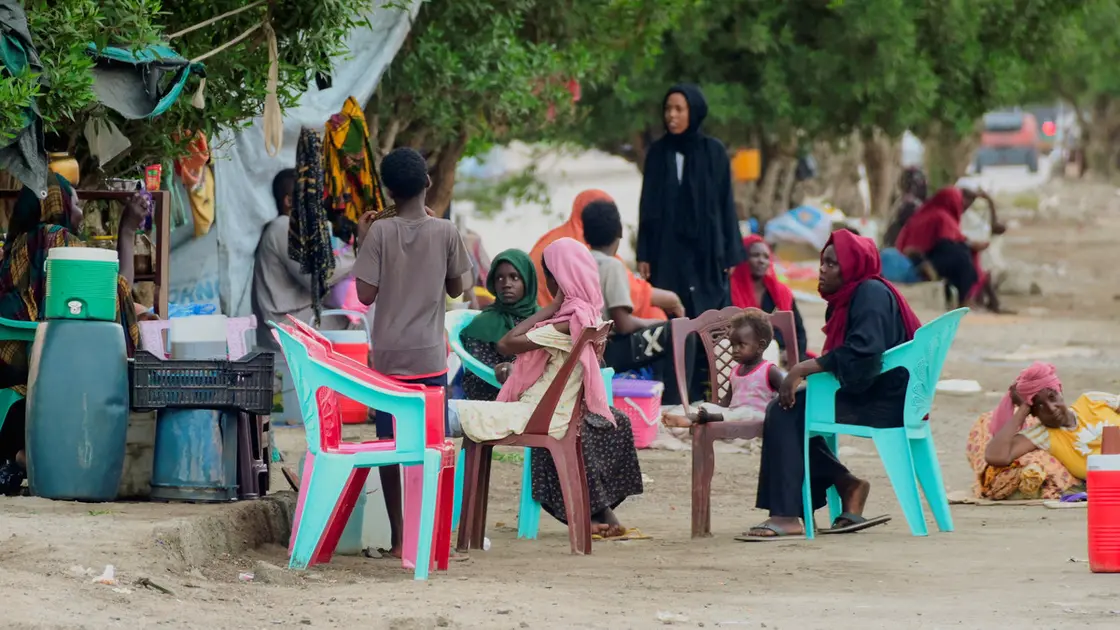 جيوش الذباب تغزو عاصمة السودان البديلة.. ما القصة؟ – الخرطوم: خالد فتحي تحولت مدينة بورتسودان “العاصمة السودانيّة البديلة” إلى مستعمرة لجيوش